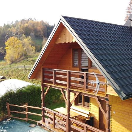Domek Dzikusowka 1 Bieszczady Solina Polanczyk Zawoz Cisna Gorzanka Екстериор снимка